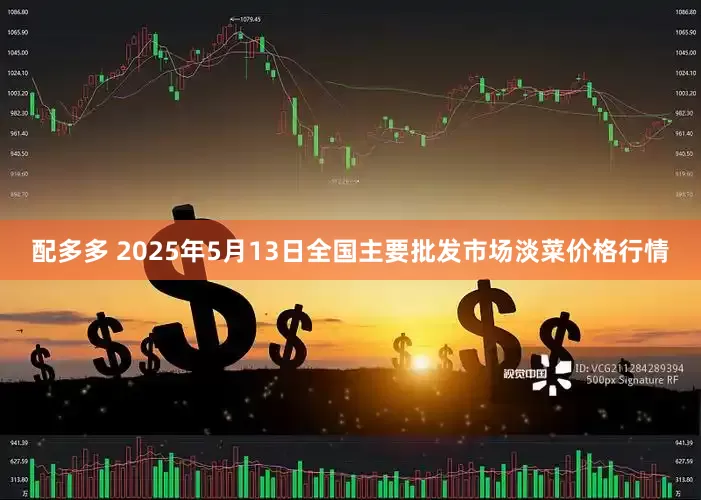 配多多 2025年5月13日全国主要批发市场淡菜价格行情