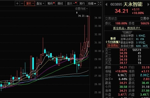 大赢家 消息面引爆叠加热门题材，天永智能股价涨停