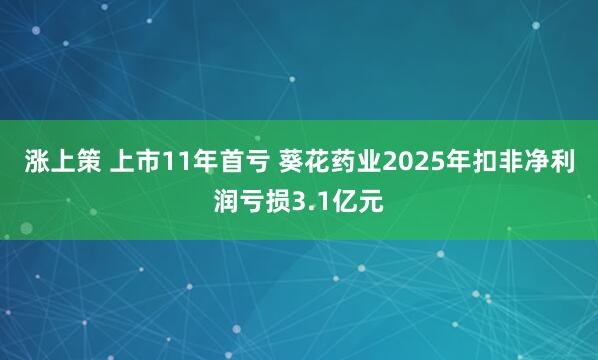 涨上策 上市11年首亏 葵花药业2025年扣非净利润亏损3.1亿元